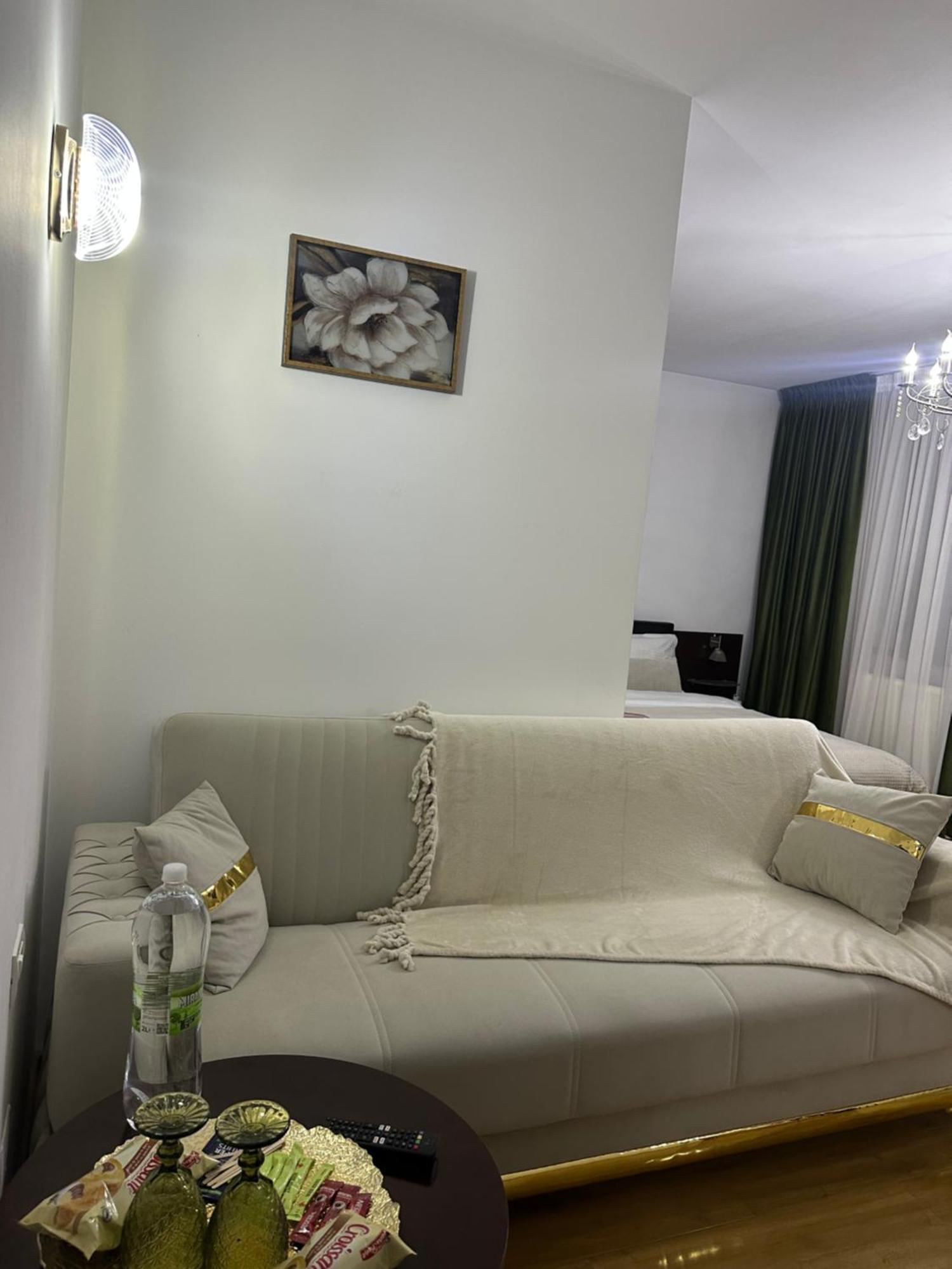 Vila Zoe Bucharestairport&Therme&Parking Отопень Екстер'єр фото